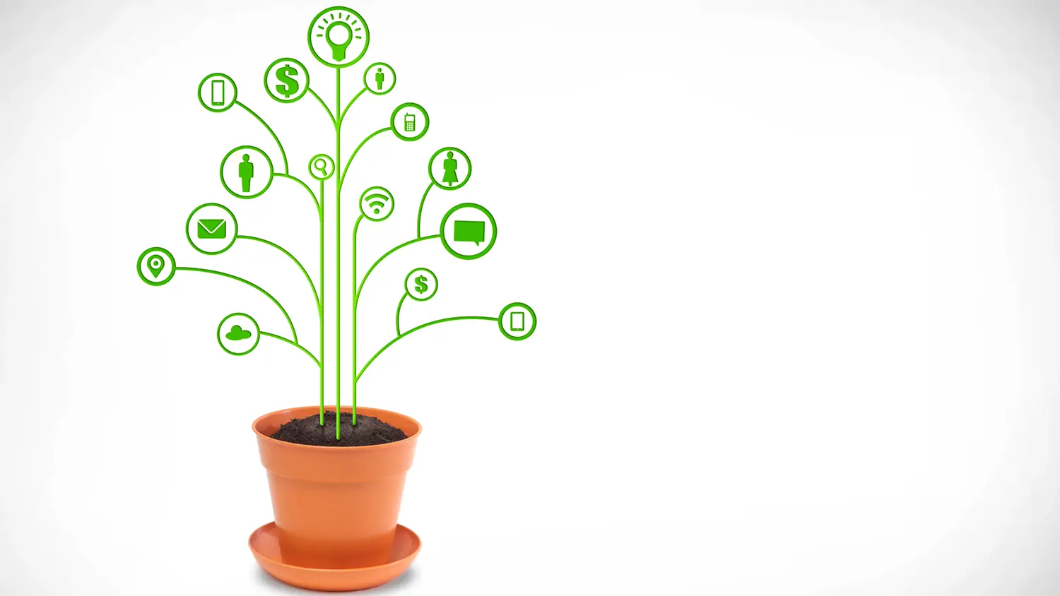 Image of a pot sprouting digital stems with business icons as the leaves.