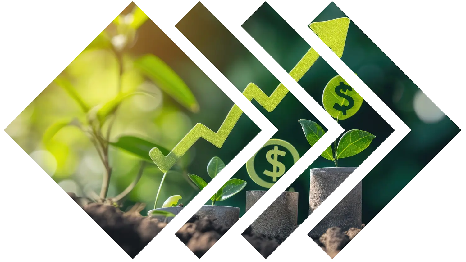 Image of an arrow pointing up over sprouts and dollar signs representing long-term growth from cost reduction.