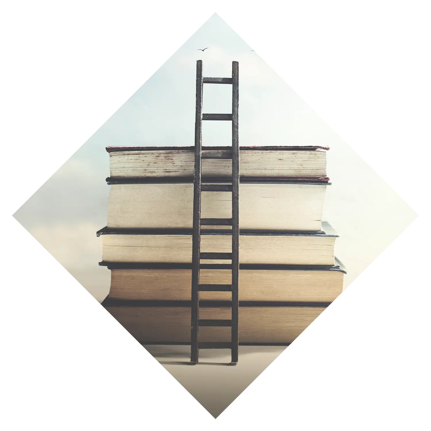 Image of a ladder going up a stack of 5 books.