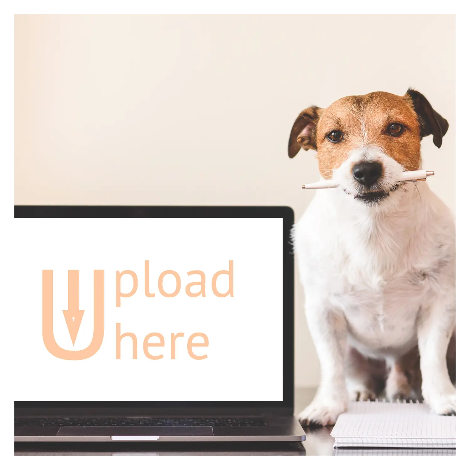 Image of a dog holding a pen in his mouth sitting on a pad of paper next to a computer that says "upload here".